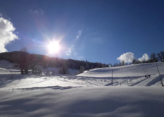 Apartamento Kasbacher *